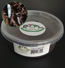 Load image into Gallery viewer, peat spring culture reptanicals
