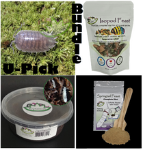 Load image into Gallery viewer, Porcellio laevis u-pick bundle isopod supply kit from Reptanicals