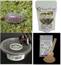 Load image into Gallery viewer, P. laevis U-Pick isopod supplies