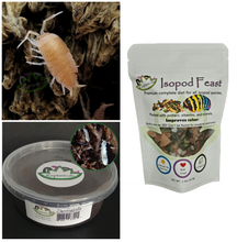 Load image into Gallery viewer, Powder Orange Isopods  with food and springtails for Sale Reptanicals