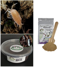 Load image into Gallery viewer, Powder orange isopods for Sale free shipping Reptanicals with Springtails and springtail food