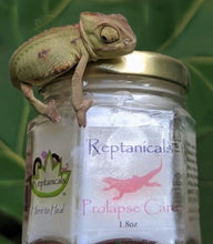 Load image into Gallery viewer, Prolapse Care Emergency Solution to prolapse in reptiles Reptanicals