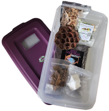 Load image into Gallery viewer, Reptanicals Isopod Breeder Kit