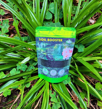 Load image into Gallery viewer, Reptanicals Soil Booster for bioactive tanks