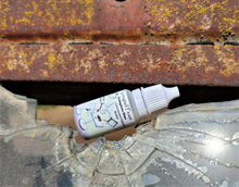 Load image into Gallery viewer, Springtail Feast Bottle