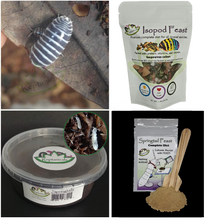 Load image into Gallery viewer, Zebra Isopods U-Pick Bundle for Sale Reptanicals.com free shipping on isopods