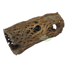 Load image into Gallery viewer, cholla cactus large branch reptanicals