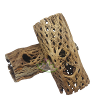 Load image into Gallery viewer, large cholla cactus branches