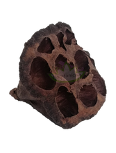 Load image into Gallery viewer, lotus pod
