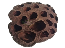 Load image into Gallery viewer, lotus pod hut