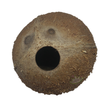 Load image into Gallery viewer, whole coconut hut