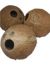 Load image into Gallery viewer, whole coconut hut reptanicals