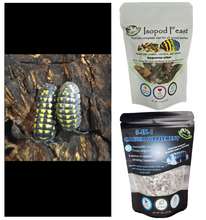 Load image into Gallery viewer, A gestroi isopods for sale with Isopod Feast and 5-in-1 calcium supplement Reptanicals
