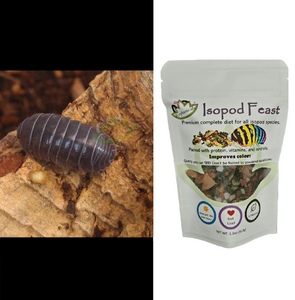 A. vulgare isopods for sale Isopod food complete diet