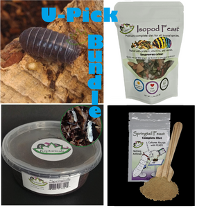 Roly Poly Isopod kit for sale isopod supplies U-Pick bundle Reptanicals