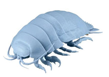 Load image into Gallery viewer, Deep Sea Isopod figurine for sale
