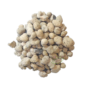 bio-base layer reptanicals clay balls