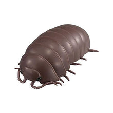 Load image into Gallery viewer, Dangomushi 04 by Bandai brown vulgare isopod for sale
