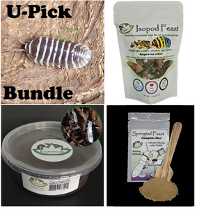 U-Pick bundle for sale Chocolate Zebra