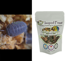 Load image into Gallery viewer, Cubaris murina Isopods for sale with Reptanicals Isopod Feast
