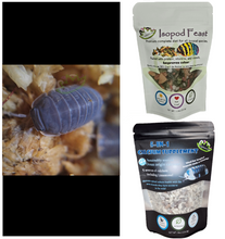 Load image into Gallery viewer, Cubaris isopod supplies for sale kit with 5 in 1 calcium supplement
