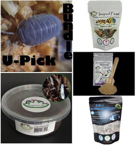 Cubaris isopod supplies for sale Little Sea Isopod Kit U-Pick Bundle by reptanicals