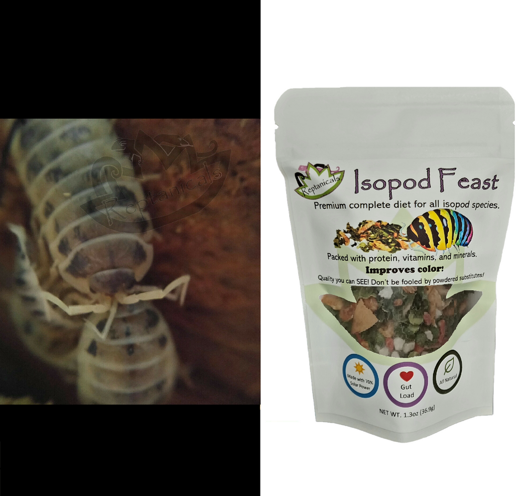 Dairy Cow Isopods for sale Reptanicals with Isopod Feast Isopod Food
