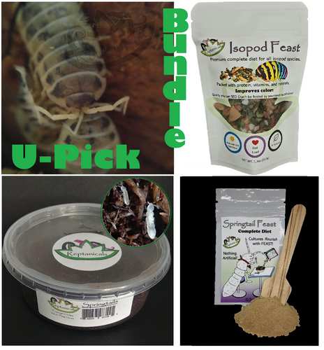 Dairy Cow Isopod pack kit bundle supply Reptanicals
