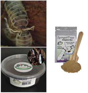 Bio-active supply kit for crested geckos