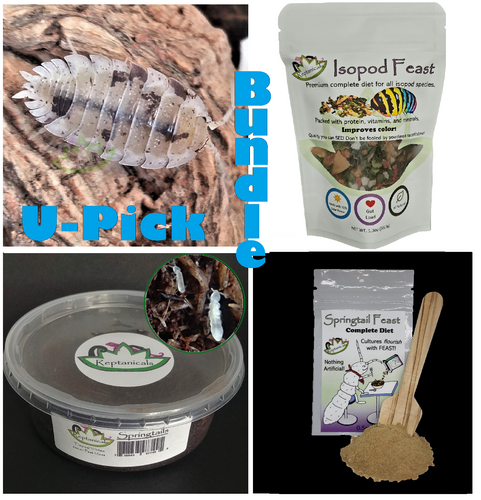 Reptanicals U-Pick Bundle : Dalmatian Isopods Bio-active supply kit for geckos and large lizards