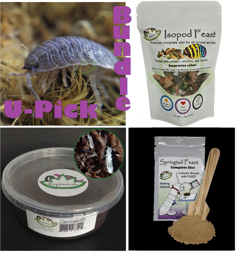 Giant Canyon Isopod Kit for Sale U-Pick Bundle from Reptanicals Choose your own custom Isopod Supply Pack!