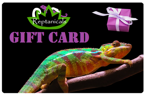 Reptanicals Gift Cards for sale