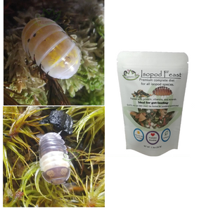 Panda Kings Isopods and Magic Potion isopods in bundle with Isopod food for sale