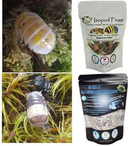Japanese Magic Potion and Panda King Isopods in bundle with food and calcium supplement including limestone for cubaris