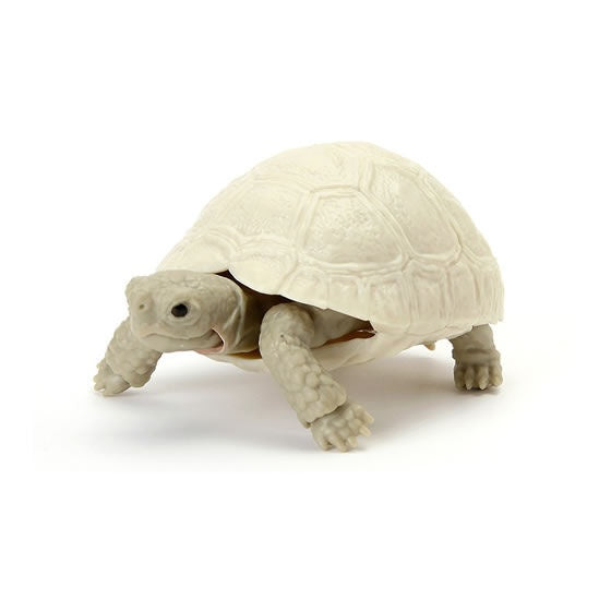 Leucistic Leopard Tortoise Figure - juvenile (Kame 05 by Bandai)