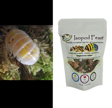 Load image into Gallery viewer, Magic Potion Isopods with food

