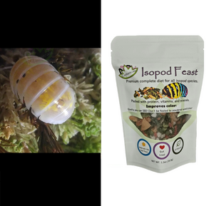 Magic Potion Isopods with food