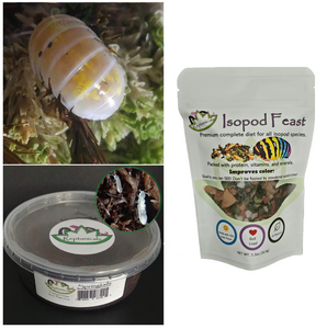 Magic Potion Isopods with Isopod food and springtail culture for sale
