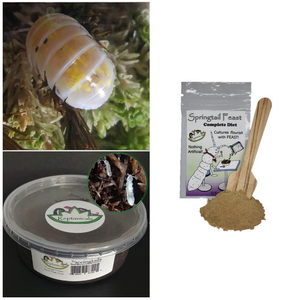 Japanese Magic Potion Isopods bio-active clean up crew