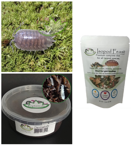 Gray laevis wild type isopods springtails and Isopod Feast from Reptanicals