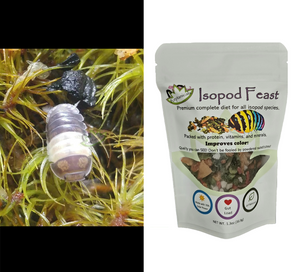 Panda King Isopods for sale with isopod feast Reptanicals