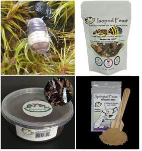 Isopod Gift Set Panda Kings, Springtails and food. Unique gift idea for isopod lovers