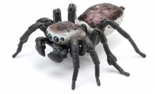 Load image into Gallery viewer, Female M. volans Bandai spider figurine for sale gifts for spider lovers
