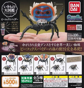 Bandai Peacock Spider figurine set for gashapon machines toys for sale
