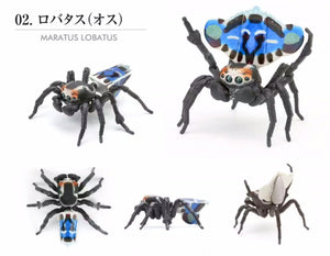 Educational figurines for entemology peacock spider male lobatus