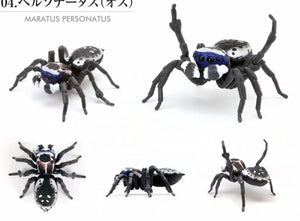 Male Maratus personatus spider figurine toy for sale Reptanicals