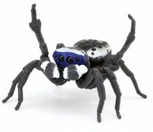 Load image into Gallery viewer, M. personatus spider figurine by Bandai Gift for spider lovers
