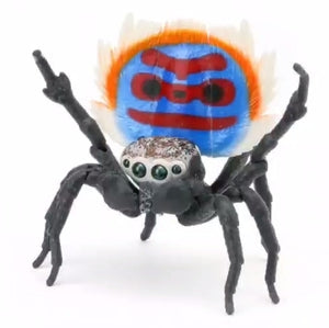M. speciosus male peacock spider figurine for sale
