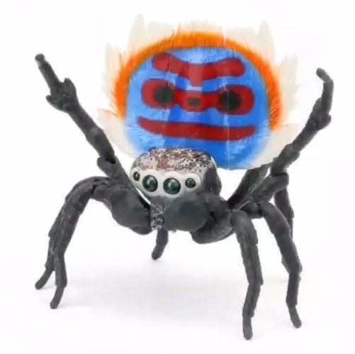 Spider male shop toy