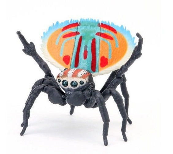 Spider on sale male toy